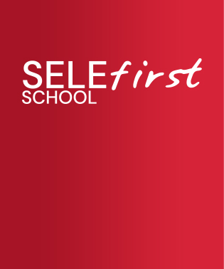 Year 3 Week 6: Patterns of the Amazon: Our Collaborative Creation